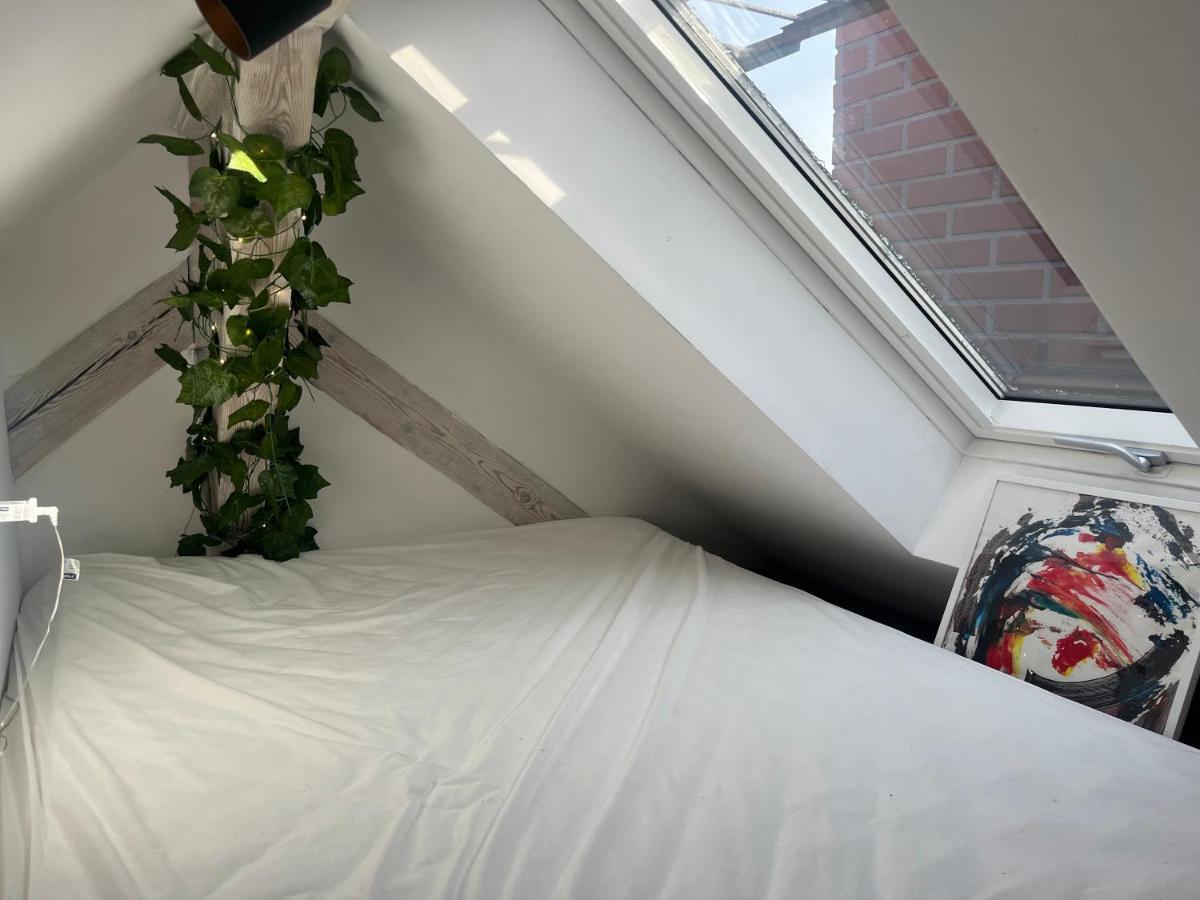 Attic Appart Torun Exterior photo